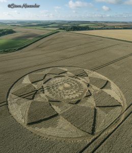 Hackpen Hill (3), Wilts | 30th July 2018 | Wheat L3