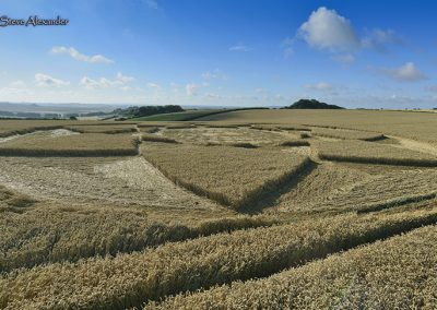 Hackpen Hill (3), Wilts | 30th July 2018 | Wheat Low