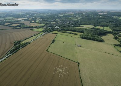 Pepperbox Hill, West Grimstead, Wilts | 23rd July 2019 | Wheat | LHL2