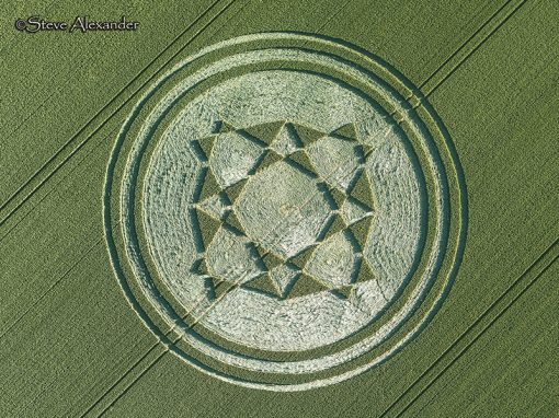 Danebury Ring, Hants | 1st July 2019