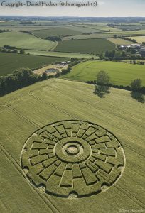 Sixpenny Handley, Dorset | 31st May 2020 | Barley | ML