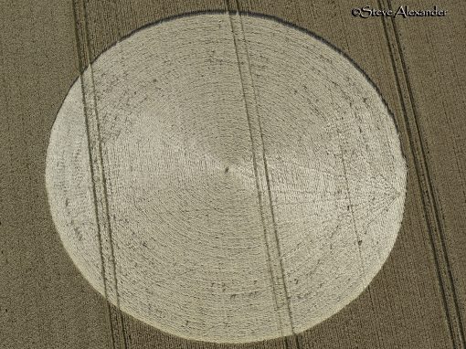 Danebury Ring, Hants | Mid July 2020