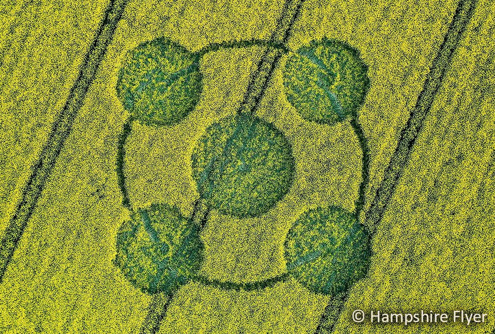 Crab Wood, Hants | 24th April 2022