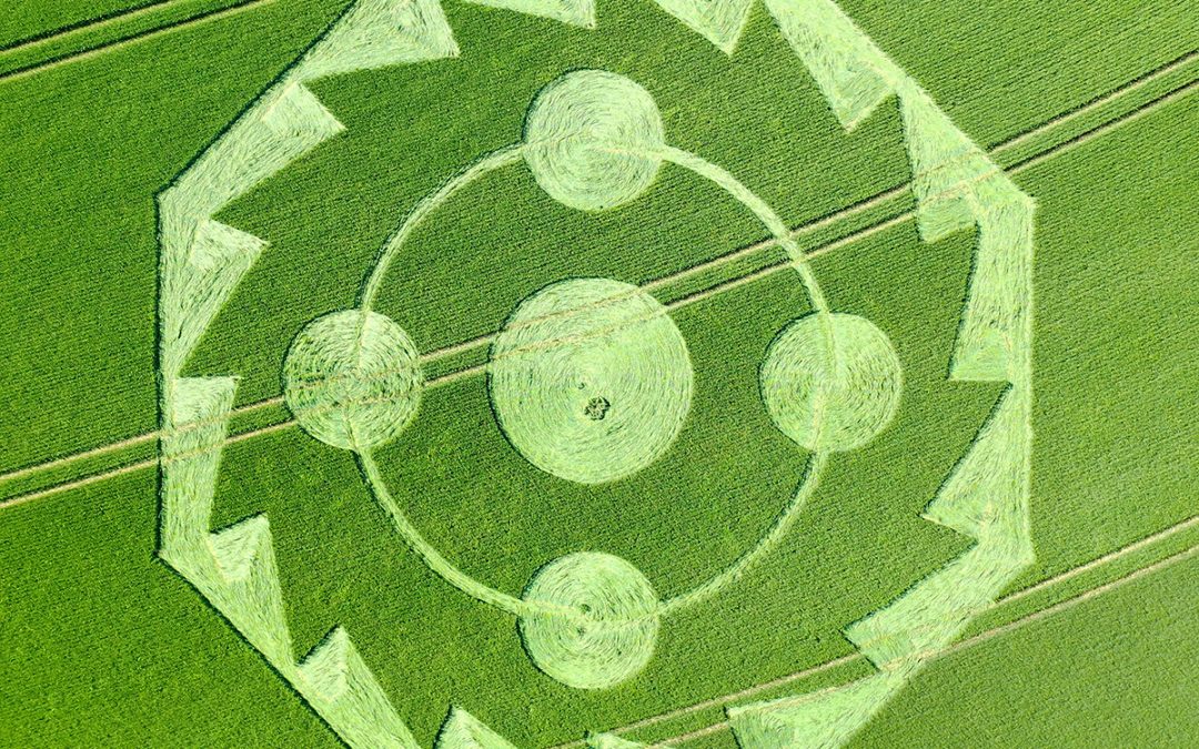 Hippenscombe, Wilts | 22nd May 2022