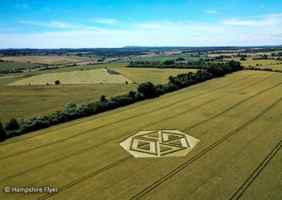 Froxfield, Wilts | 9th July 2022 | Wheat | HFL