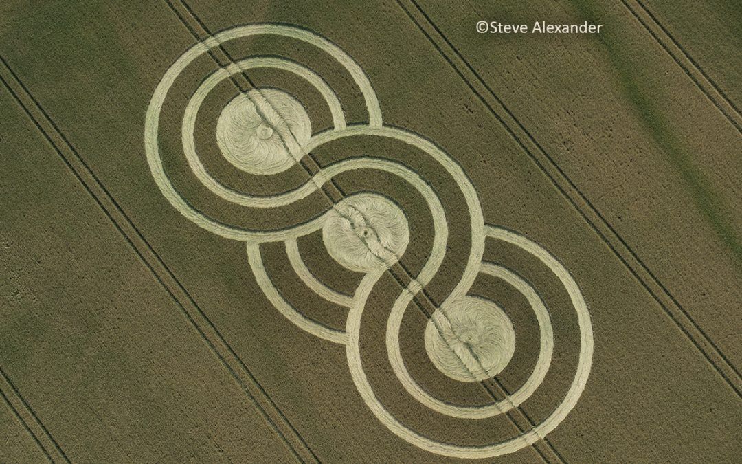 Little Horton, Wilts | 14th July 2022