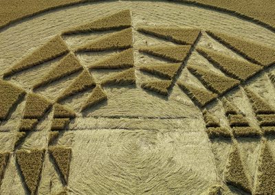 4Barbury Castle, Wilts | 18th July 2022 | Wheat | CL
