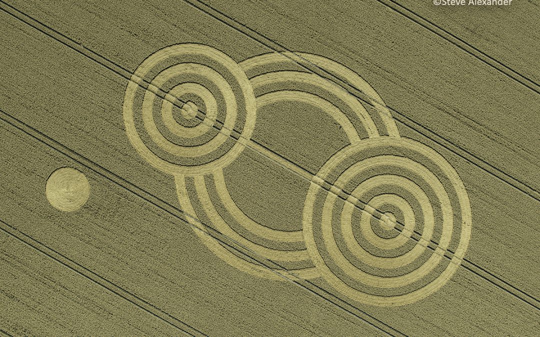 Tawsmead Copse, Wilts | 27th July 2022