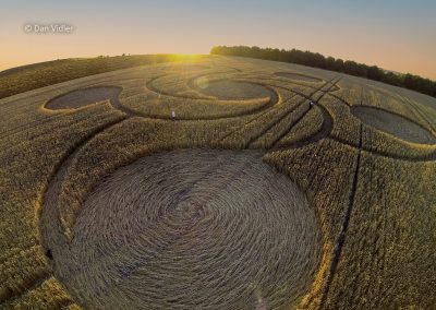 Etchilhampton Hill, Wilts. | 8th August 2022 | Wheat | by Dan Vidler