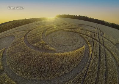 Etchilhampton Hill, Wilts. | 8th August 2022 | Wheat | by Dan Vidler
