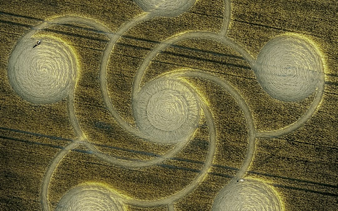 Etchilhampton (2), Wilts | 8th August 2022