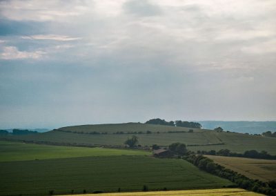 Roundway Down, Wilts | 11th June 2023 | Barley | 5