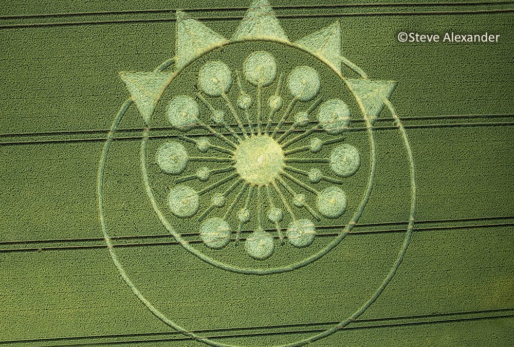 Owlsebury, Hants | 26th June 2023