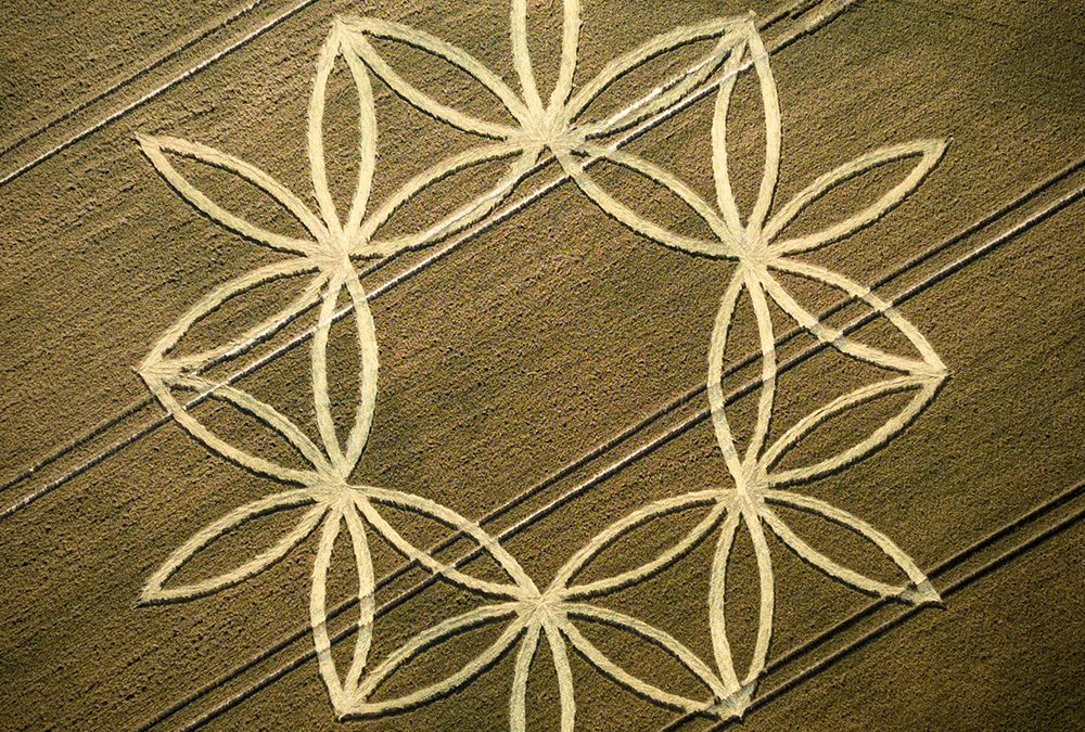 Norton Bavant , Wilts | 7th July 2023