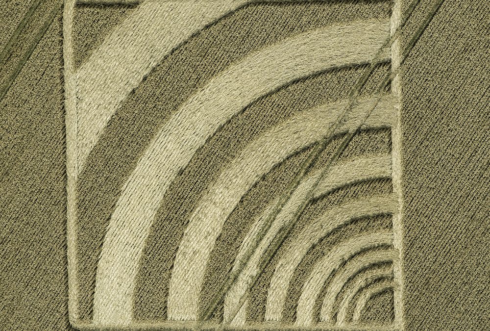 Micheldever, Hants (1) | 4th July 2023