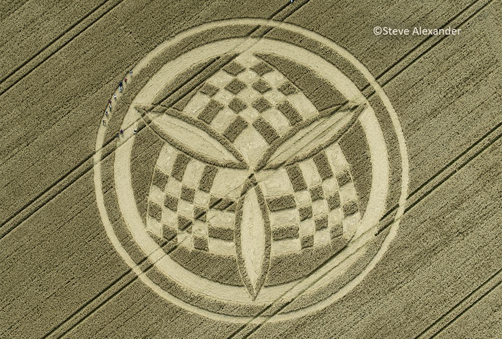 Barton Stacey Belt, Hants | 9th July 2023