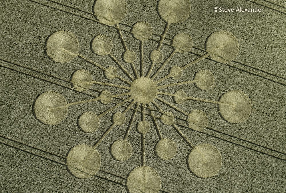 Charlton, Hants | 25th July 2023