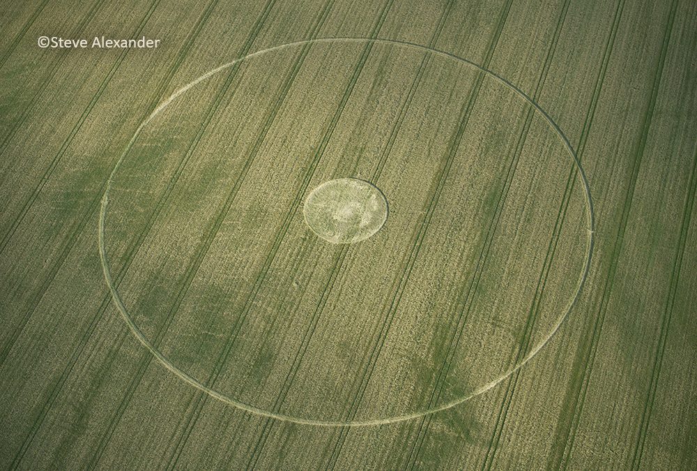 Cley Hill, Wilts | 10th August 2023