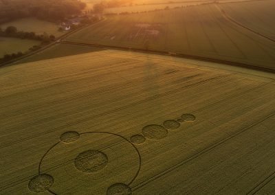 Wilton Windmill, Wilts | 12th June 2024 | Barley | L-BS