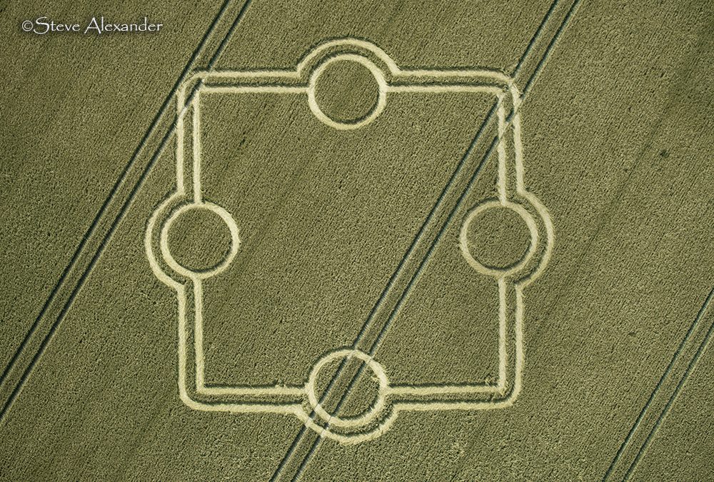 Normanton Down (nr. Stonehenge), Wilts | 14th July 2024