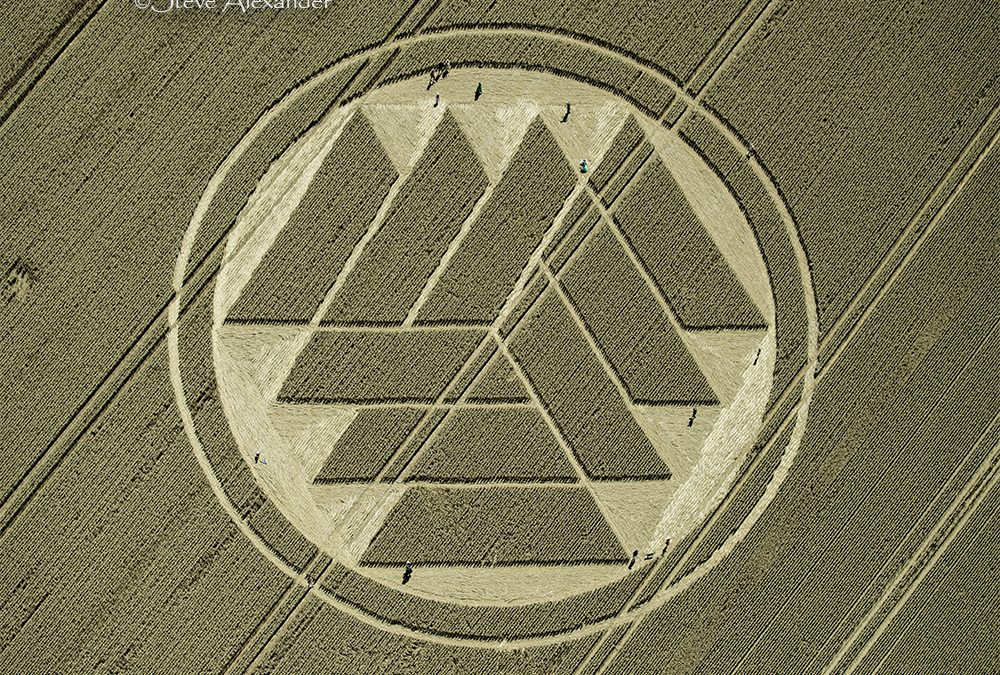 Stoke Charity (nr Sutton Scotney), Hants | 28th July 2024