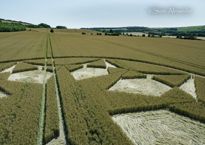 Marten, Wilts | 23rd July 2024 | Wheat | low5