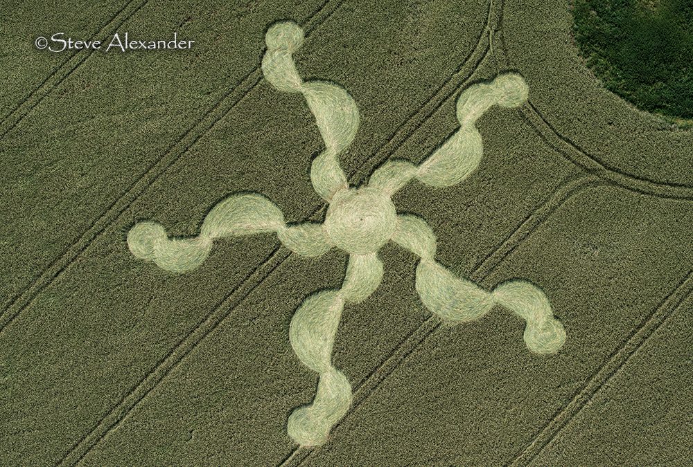 Stonehenge (nr. visitor centre), Wilts | 30th June 2024