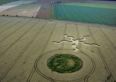 Stonehenge (Visitors Ctr.) |  30th June 2024 | Wheat | L-BSP