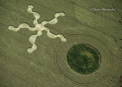 Stonehenge (Visitors Ctr.) |  30th June 2024 | Long-eared Wheat | OH3