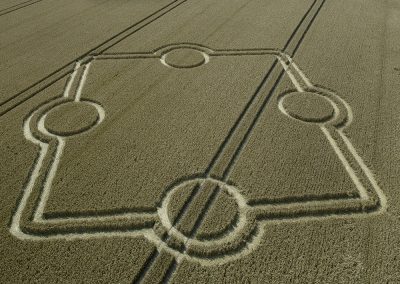 Normanton Down, Wilts | 14th July 2024 | Wheat | Low