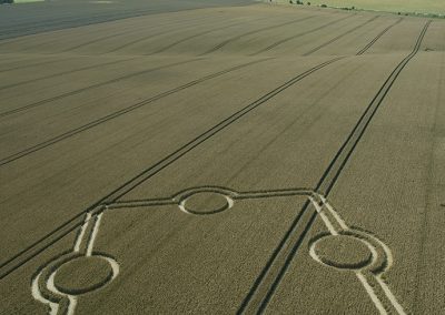 Normanton Down, Wilts | 14th July 2024 | Wheat | L