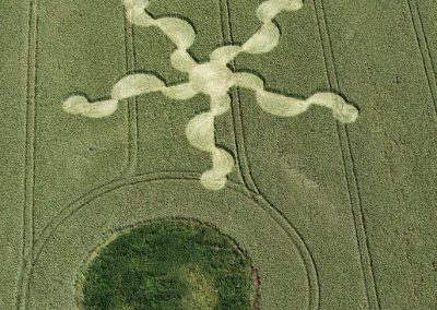 Stonehenge (Visitors Ctr.) |  30th June 2024 | Long-eared Wheat | OH5