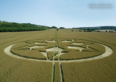 Marten, Wilts | 23rd July 2024 | Wheat | Low