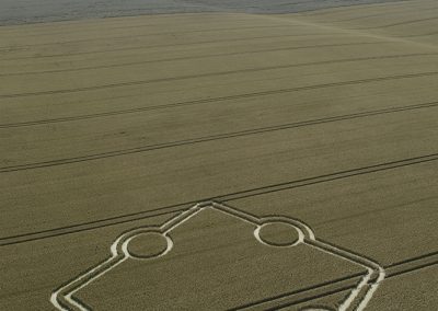 Normanton Down, Wilts | 14th July 2024 | Wheat | L2