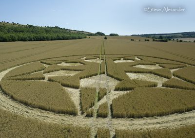 Marten, Wilts | 23rd July 2024 | Wheat | Low2