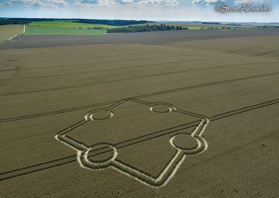 Normanton Down, Wilts | 14th July 2024 | Wheat | L3