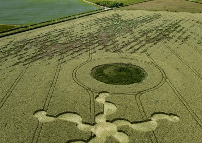 Stonehenge (Visitors Ctr.) |  30th June 2024 | Long-eared Wheat | L