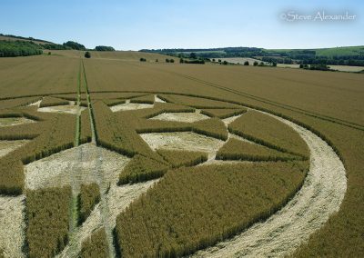 Marten, Wilts | 23rd July 2024 | Wheat | Low3