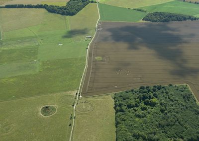 Normanton Down, Wilts | 14th July 2024 | Wheat | HL