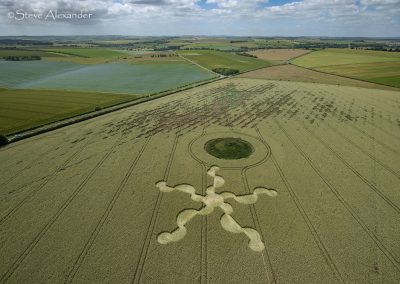 Stonehenge (Visitors Ctr.) |  30th June 2024 | Long-eared Wheat | L2