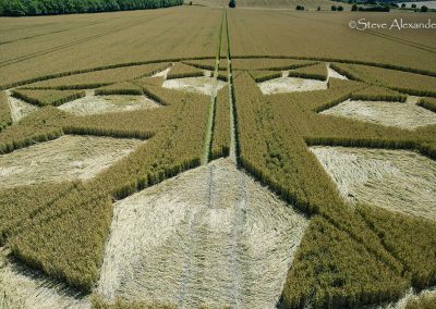 Marten, Wilts | 23rd July 2024 | Wheat | Low4