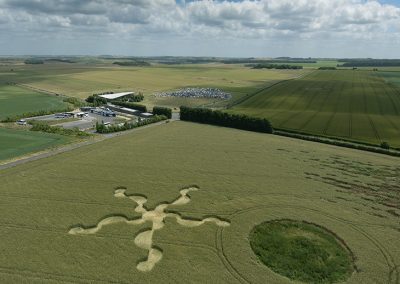 Stonehenge (Visitors Ctr.) |  30th June 2024 | Long-eared Wheat | L3