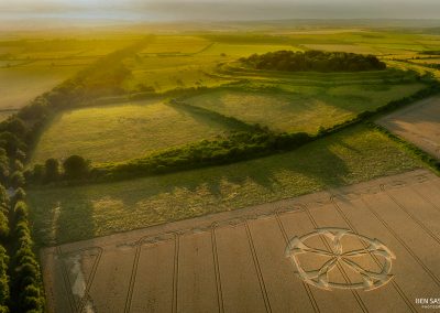 Badbury Rings, Dorset | 19th July 2024 | Wheat | L-BS