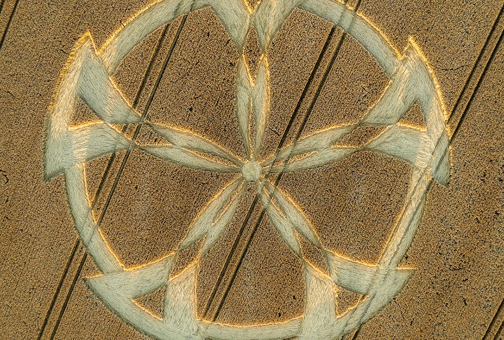 Badbury Rings (nr. Shapwick), Dorset | 19th July 2024