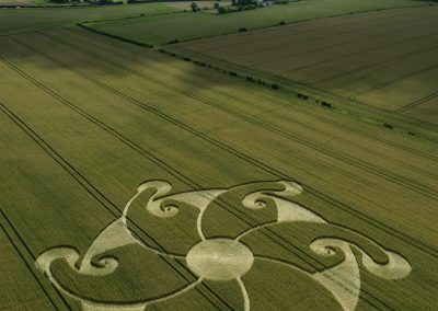 Etchilhampton Hill, Wilts | 8th August 2024 | Wheat | L2