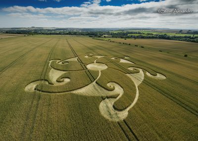 Etchilhampton Hill, Wilts | 8th August 2024 | Wheat | LL