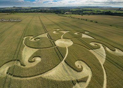 Etchilhampton Hill, Wilts | 8th August 2024 | Wheat | Low