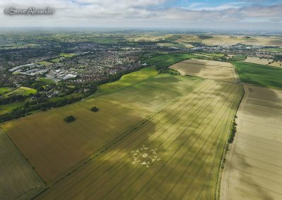 Etchilhampton Hill, Wilts | 8th August 2024 | Wheat | HL