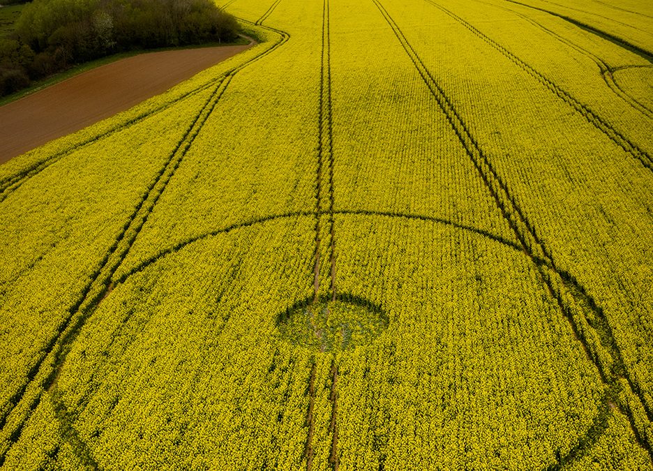 Wimborne, Dorset | 11th April 2025