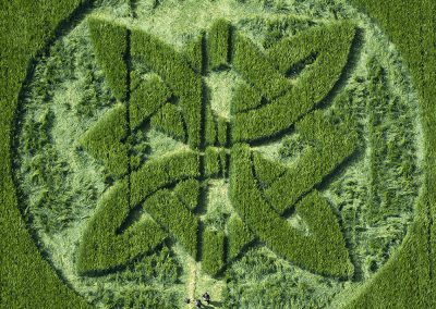 Sutton Veny, Wilts | 15th May 2025 | Barley | CL